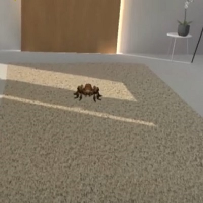 فوبیای عنکبوت و واقعیت مجازی